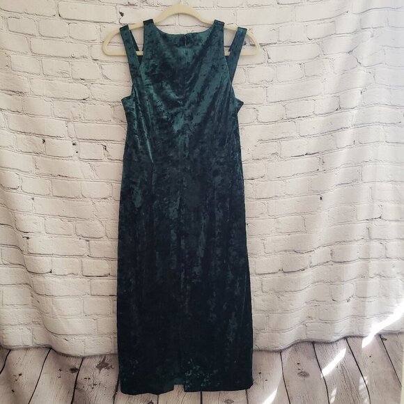 Maggy London Velour Dress - Picture 8 of 11